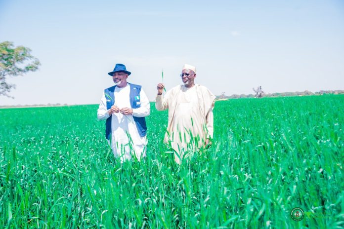 The federal government has distributed farm equipment and supplies valued at N5 billion to enhance agricultural activities in Jigawa.